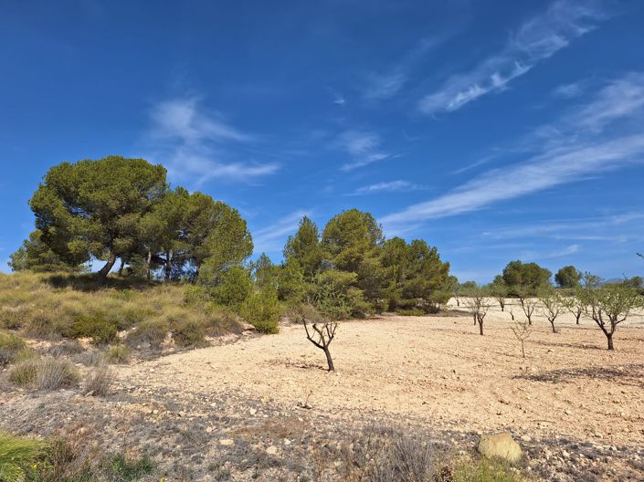 Image No.5-Land for sale