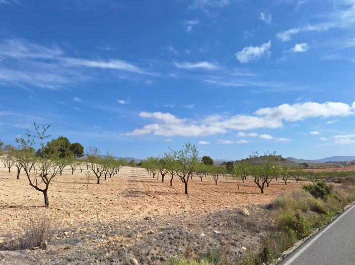 Image No.6-Land for sale
