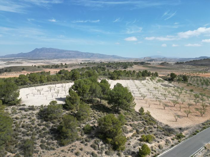Image No.7-Land for sale