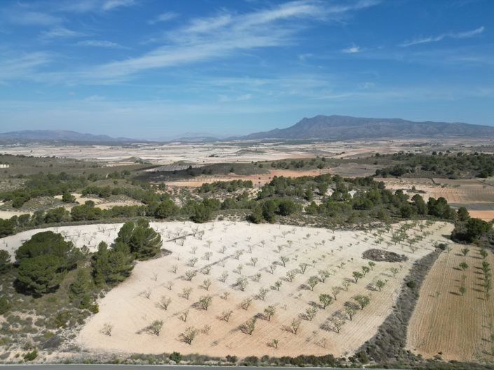 Image No.8-Land for sale