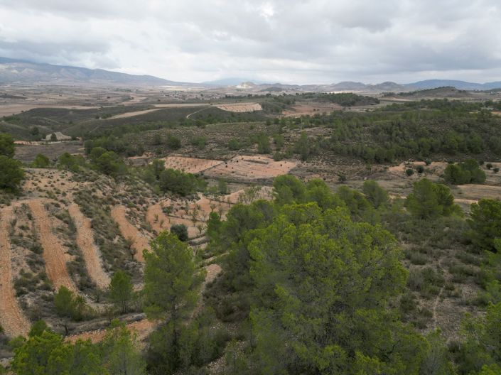 Image No.11-Land for sale