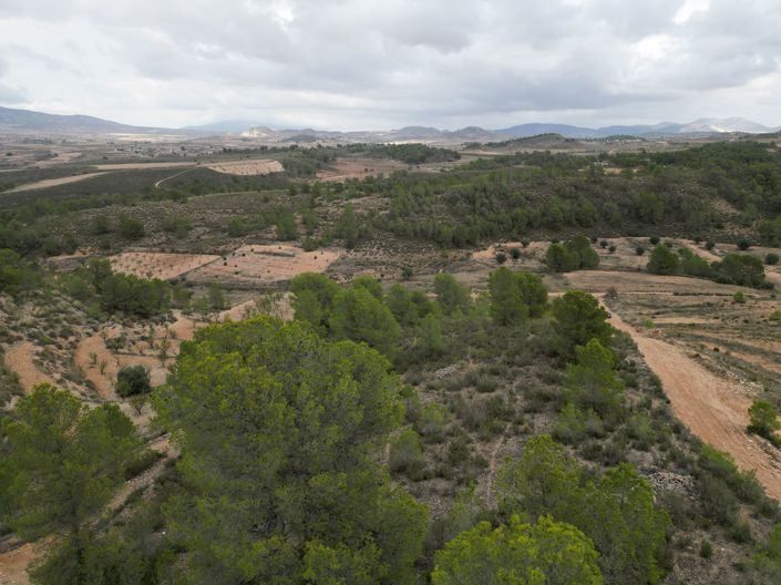 Image No.12-Land for sale