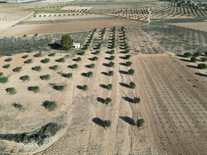 Image No.11-Land for sale