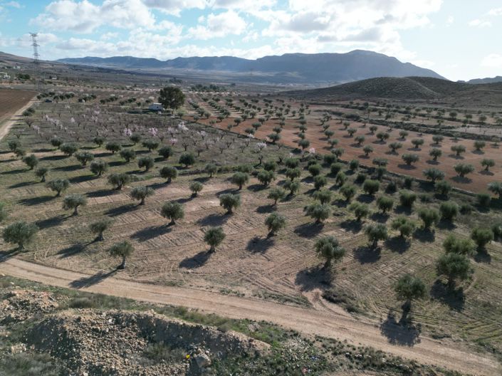 Image No.3-Land for sale