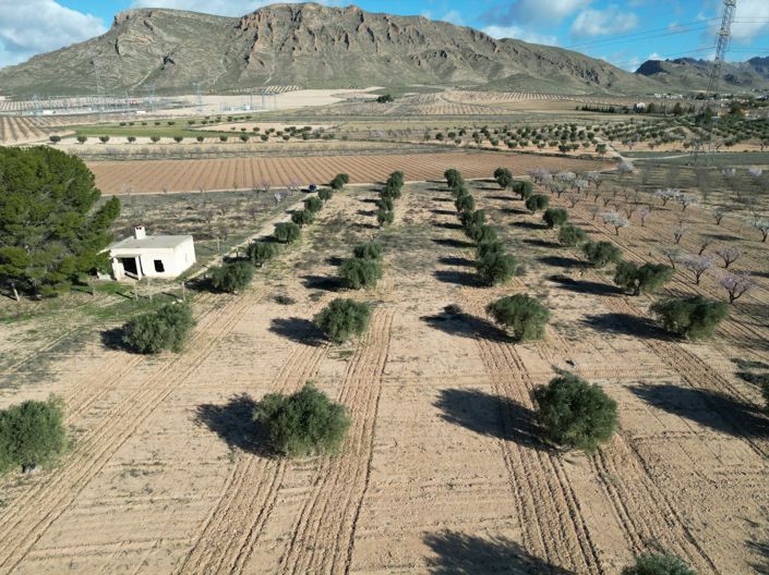 Image No.8-Land for sale