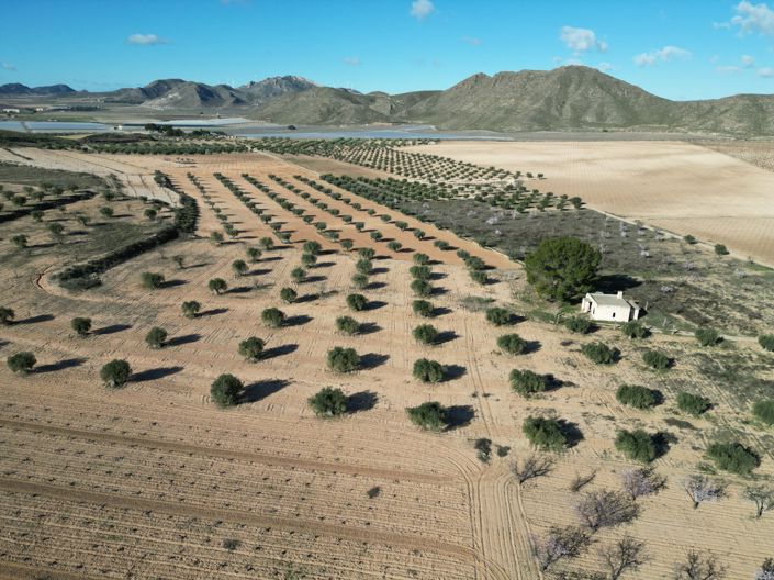 Image No.9-Land for sale