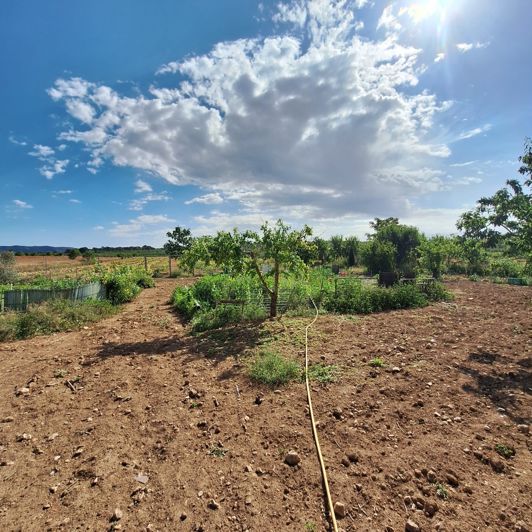 Image No.15-Land for sale
