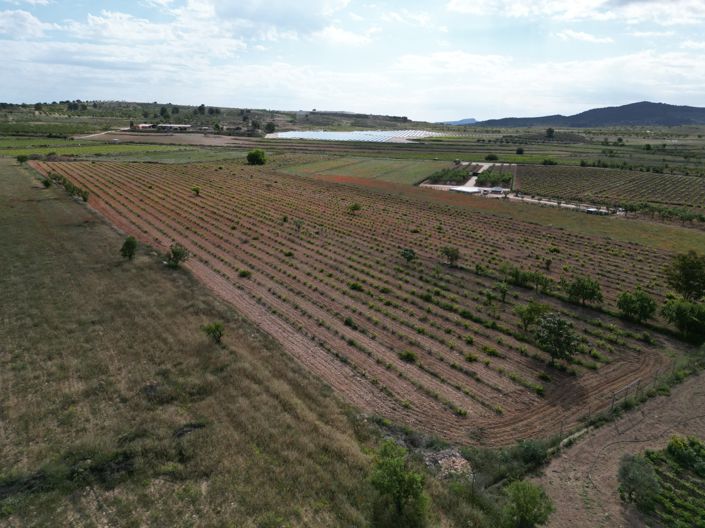 Image No.16-Land for sale