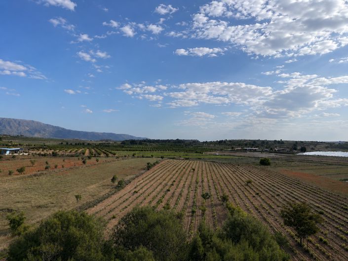 Image No.3-Land for sale