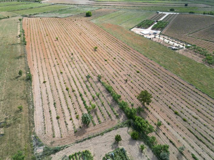 Image No.8-Land for sale