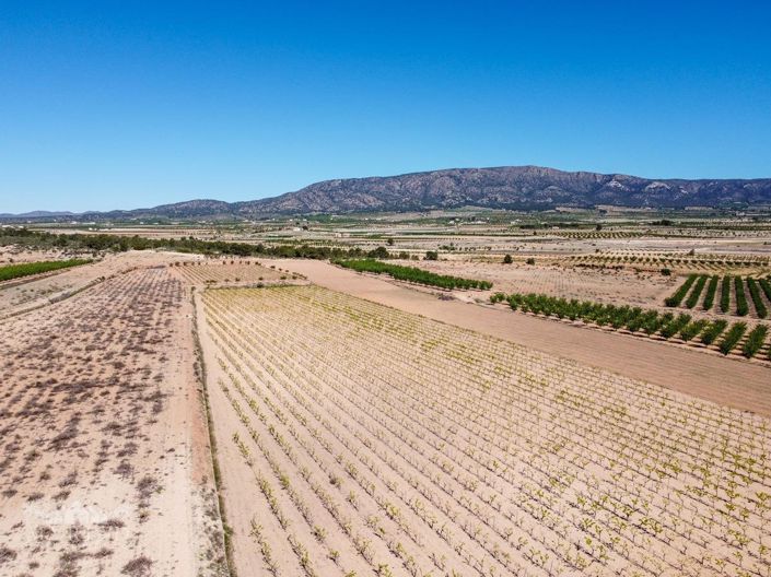 Image No.30-Land for sale