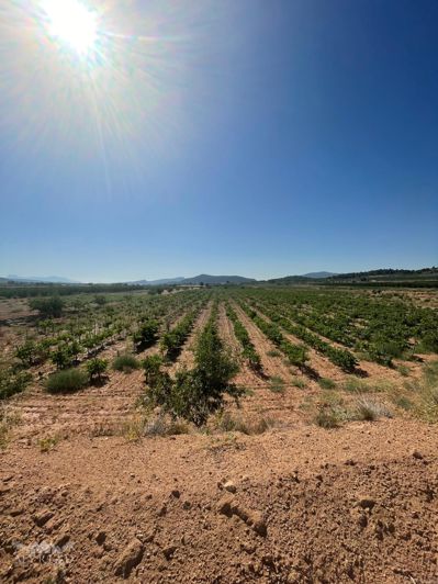 Image No.8-Land for sale