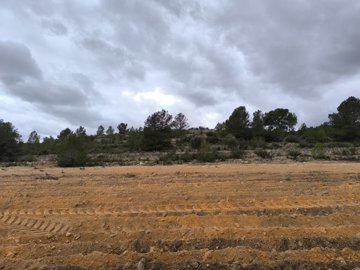 f8c751a643902402