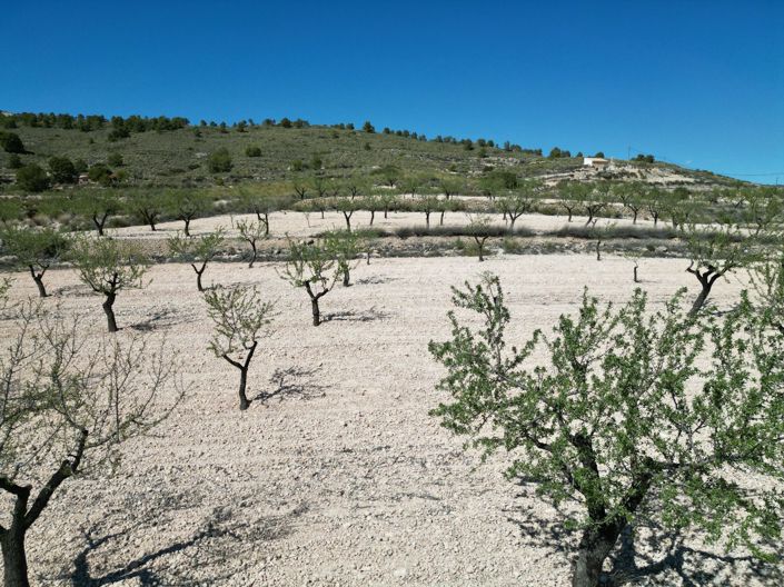 Image No.3-Land for sale