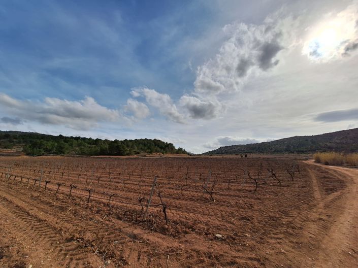 Image No.4-Land for sale