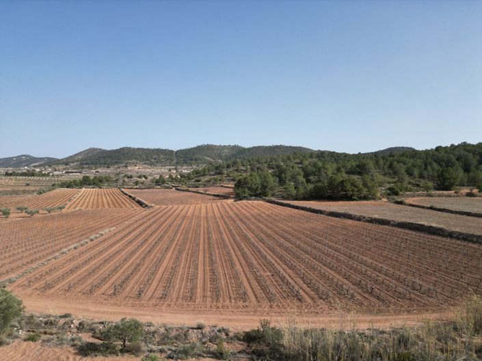Image No.5-Land for sale