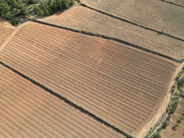 dji0085-scaled