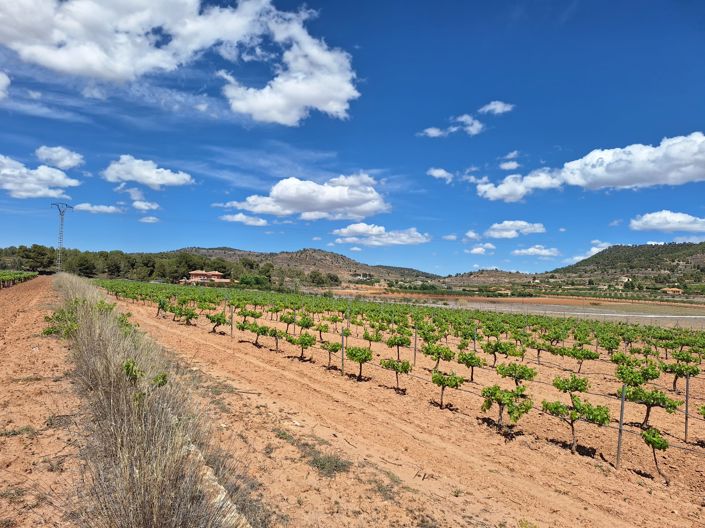 Image No.3-Land for sale