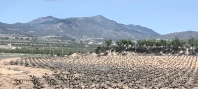 410758338