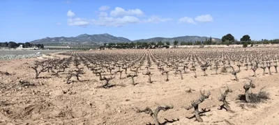 410758341