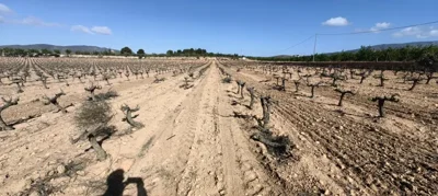 410758342