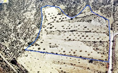 417969482