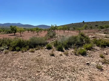 417969481