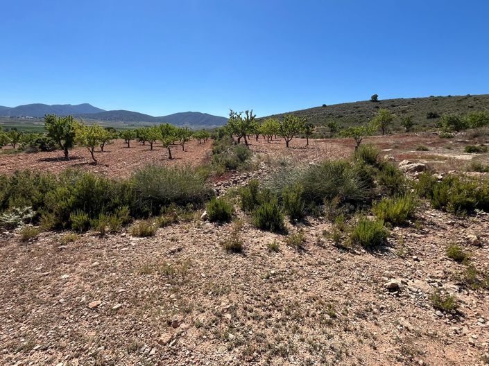 Image No.2-Land for sale