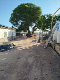 431130608
