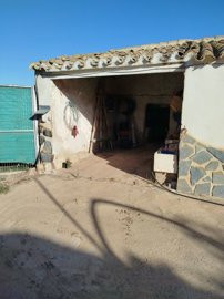 431130668