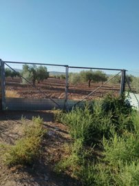 431130671