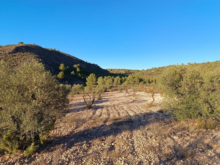 Image No.8-1 Bed Land for sale