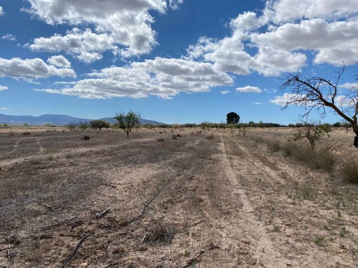 Image No.4-Terreno en venta
