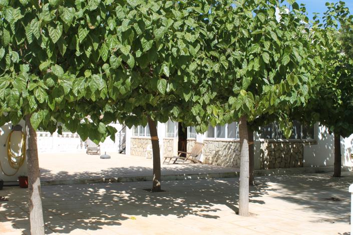 Image No.36-4 Bed Country Property for sale