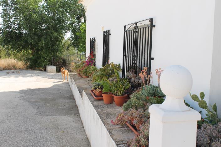 Image No.7-4 Bed Country Property for sale