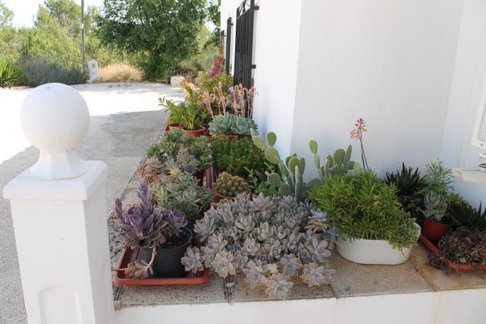 Image No.6-4 Bed Country Property for sale