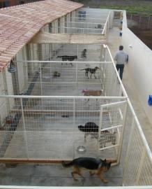 kennels-1