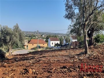 1 - Silves, Terrain