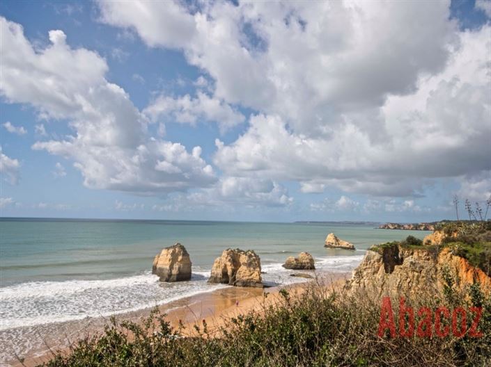 Image No.3-Commercial for sale