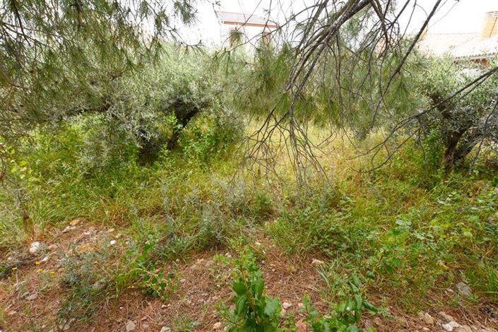 Image No.4-Propriété à vendre à Almeria