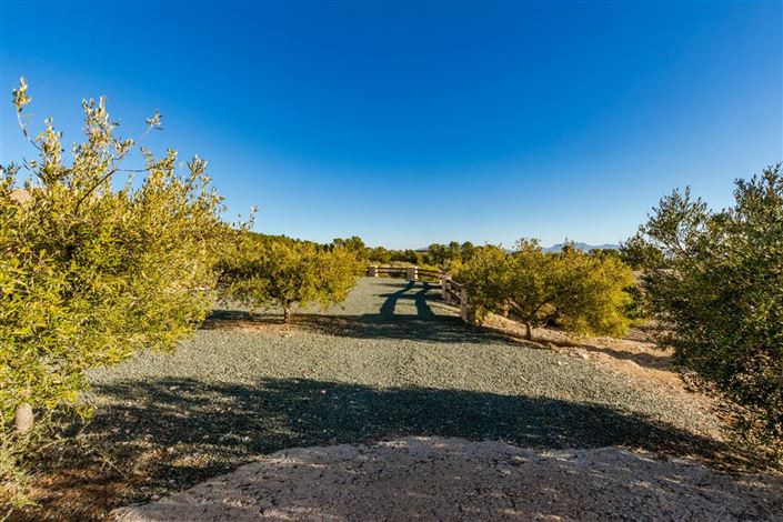 Image No.29-4 Bed Villa for sale