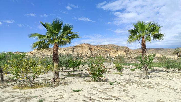 Image No.1-Property for sale
