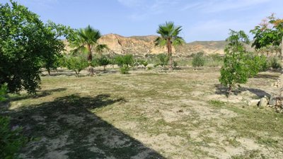 img20230621093921