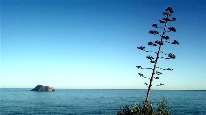 Image No.40-2 Bed Property for sale