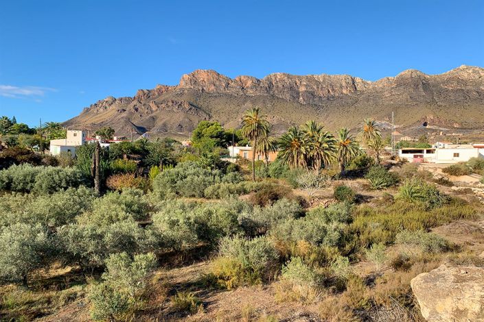 Image No.24-3 Bed Apartment for sale