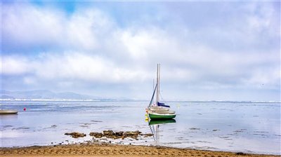 istock-1400656085