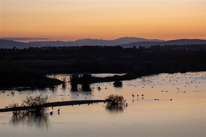 Image No.10-Villa de 3 chambres à vendre à Vera