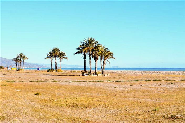 Image No.39-Villa de 3 chambres à vendre à Vera Playa
