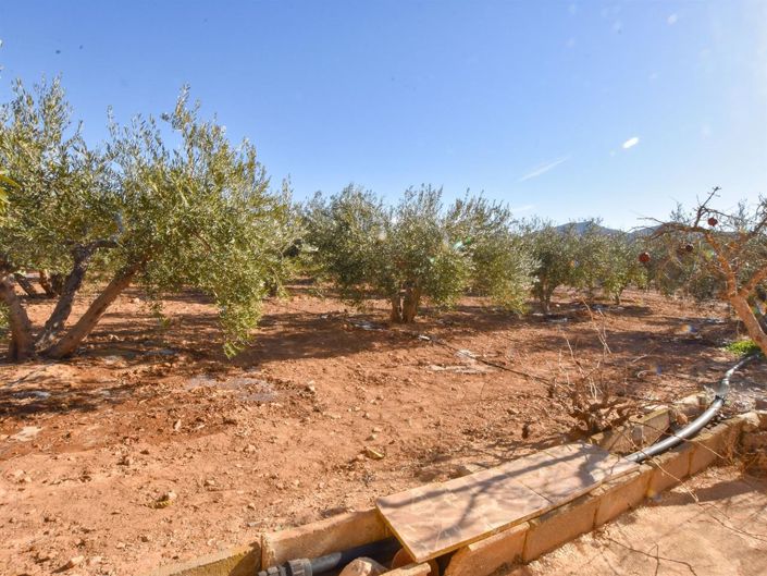 Image No.4-3 Bed Villa for sale