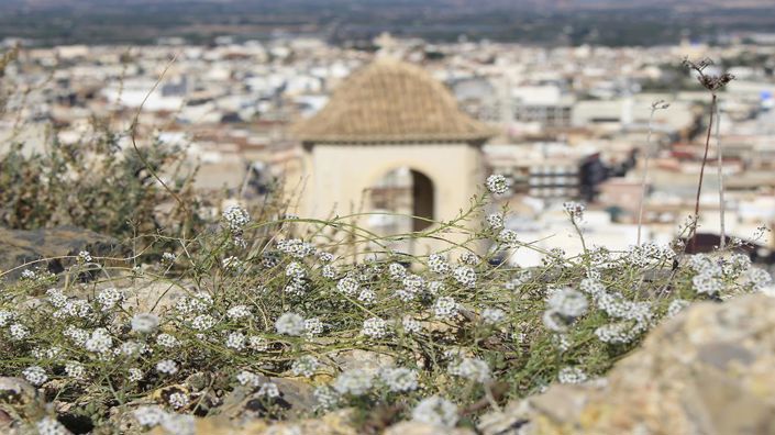 Image No.18-2 Bed Property for sale